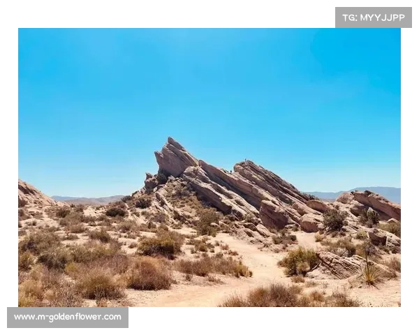 洛杉矶奥运射击场选址引发争议 环保组织强烈抵制自然保护区建靶场