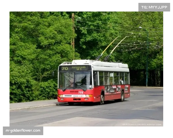 欧冠决赛配套交通方案公布,布达佩斯将增设十条临时公交线路